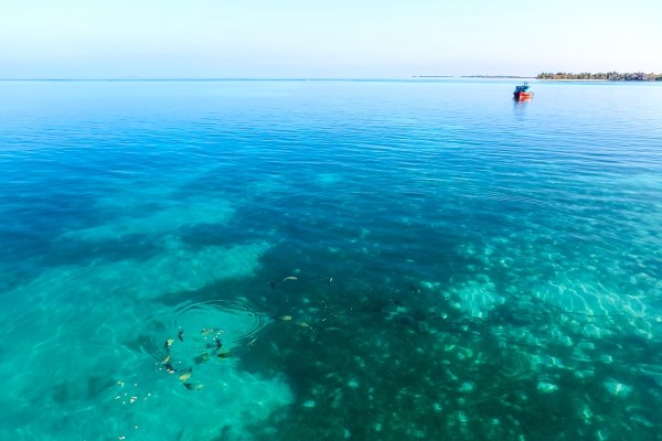 Fonds marins - Maldives Dream Baa & Raa Premium