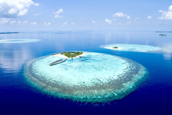 Lagon