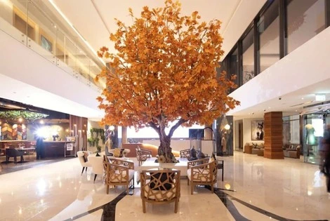 Dubai et les Emirats : Hôtel C Central Resort The Palm