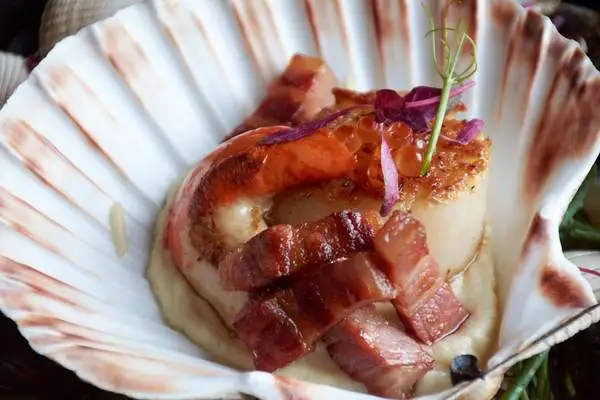 Ecosse : Hôtel No. 11 Hotel Edinburgh