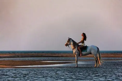 Egypte : Hôtel Captains Inn