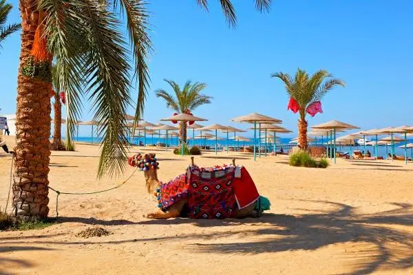 The Three Corners Sunny Beach Resort 4 The Three Corners Sunny Beach Resort 4