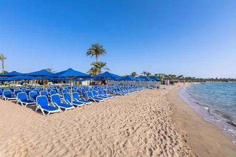 Egypte : Hôtel Naama Bay Hotel