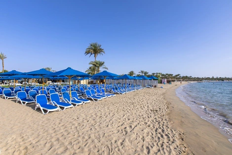Egypte : Hôtel Naama Bay Hotel