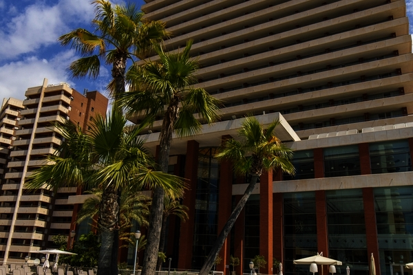 Espagne : Hôtel Levante Club Hotel And Spa (only Adults)