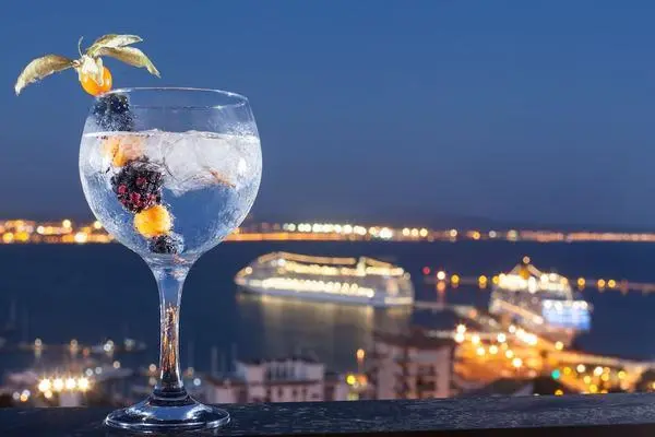 Espagne : Hôtel Valparaiso Palace & Spa