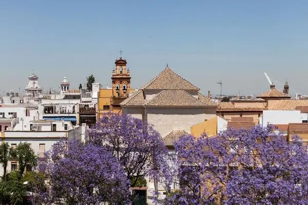 Espagne : Hôtel Don Paco