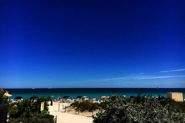 Etats-Unis : Hôtel Carillon Miami Wellness Resort