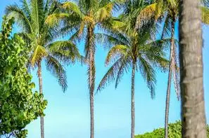 Etats-Unis-Miami, Hôtel Crescent Resort On South Beach 3*