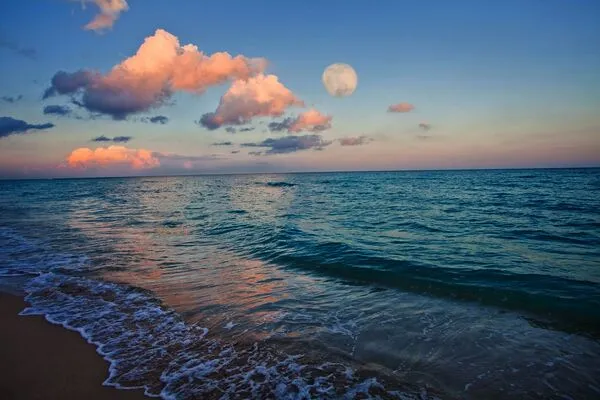 Etats-Unis : Hôtel Holiday Inn Miami Beach Oceanfront