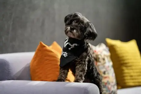 Etats-Unis : Hôtel Aloft Chelsea