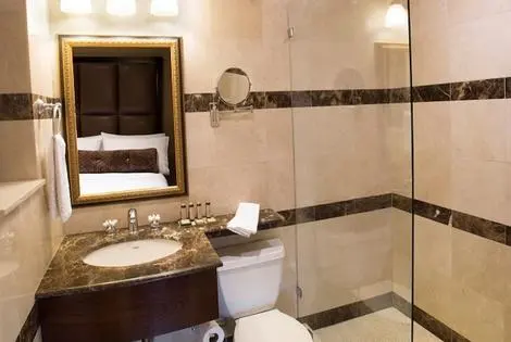 Etats-Unis : Hôtel Fitzpatrick Manhattan