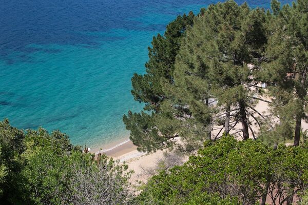 France Corse : Hôtel A’mare Corsica