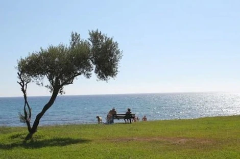 France Corse : Hôtel Orizonte