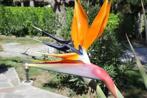 France Corse : Hôtel U Libecciu