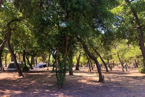 Sejour Camping Dolce Vita 3* France Corse Calvi