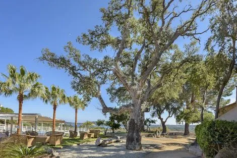 France Corse : Hôtel Residence U Paesolu