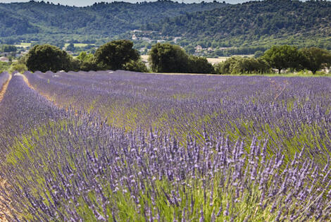 null - Verdon Parc**** Gréoux-les-Bains France Provence-Cote d Azur