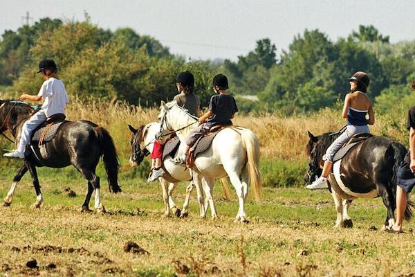 France : Camping Airotel Oléron