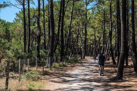 France : Camping Campéole Le Vivier