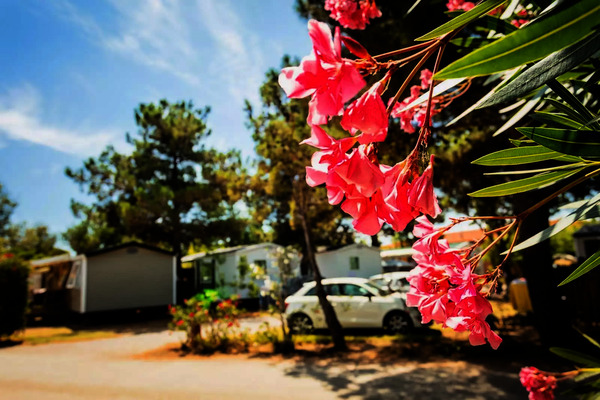 France : Camping Chadotel Le Trivoly