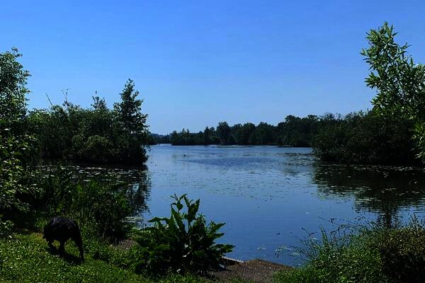 France : Camping Des Rosiers