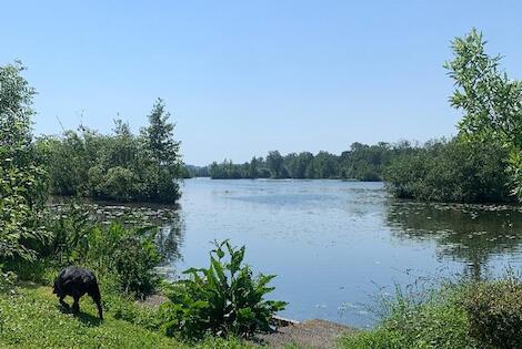 France : Camping Des Rosiers