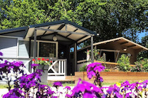 France : Camping En Chon Les Pins - Camping-Caravaning