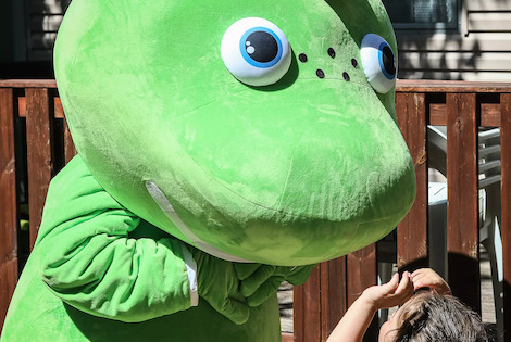 France : Camping Flower Camping Le Pavillon