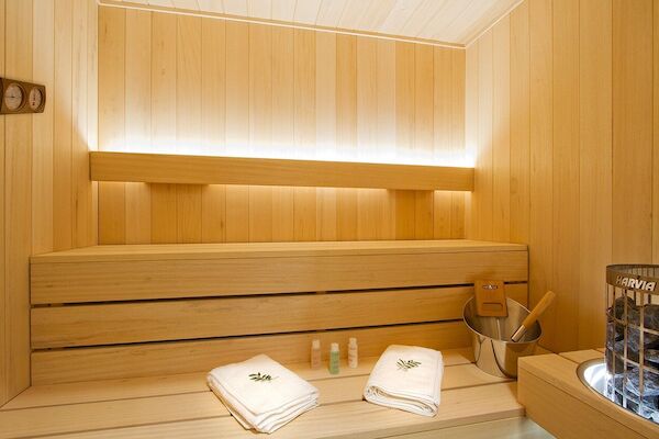 France : Chalet L'Ours Polaire