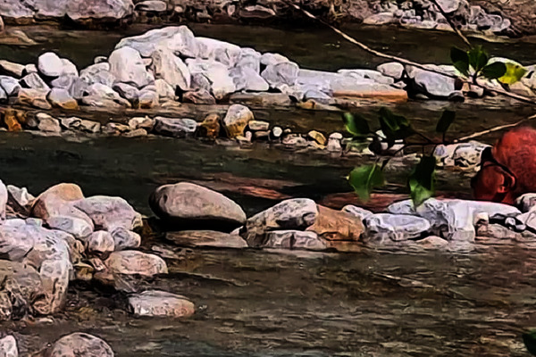 France : Camping la Ribière