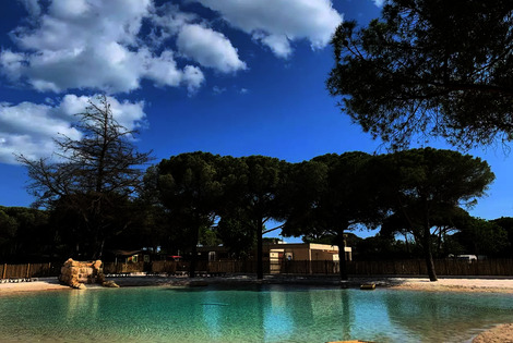 France : Camping La Tamarissière
