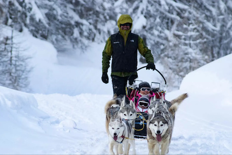 France : Résidence Le Chamois Blond