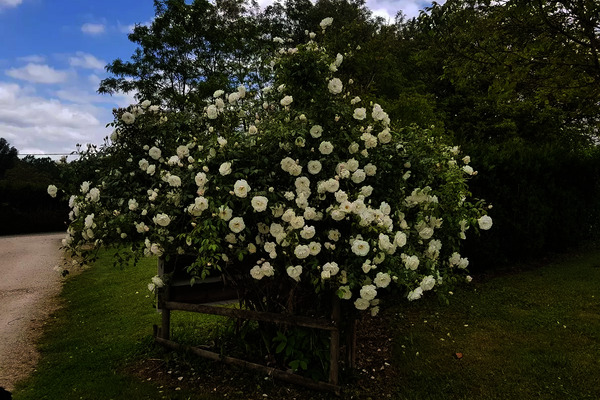 France : Camping LE DOMAINE DE PECANY (La Noix de Pecan'y)