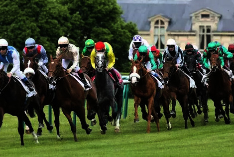 France : Camping Le Pré des Moines