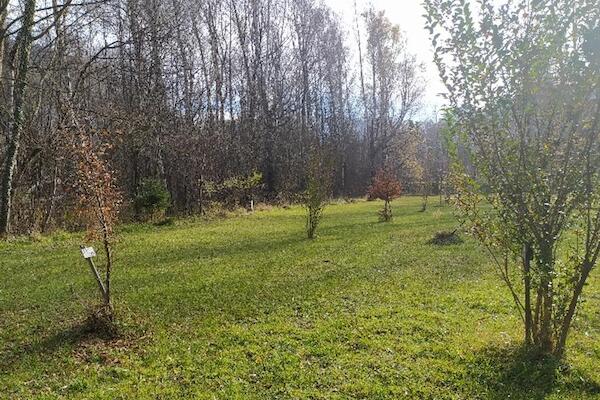 France : Camping les Bouleaux