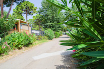 France : Camping les Jardins d'Agathe