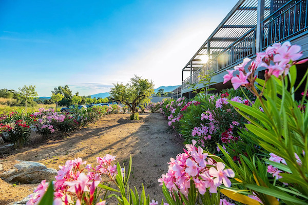 France : Résidence locative Premium Pierre & Vacances Les Terrasses d'Arsella