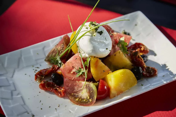 France : Camping Verdon Parc