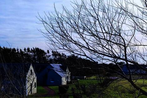 France : Camping VVF Camping Les Dunes Créances