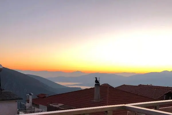 Grèce : Les Cyclades : Hôtel Parnassos Delphi