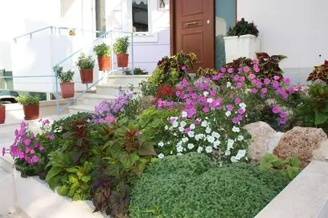 Grèce : Les Cyclades : Hôtel Veggie Garden Athens B&b