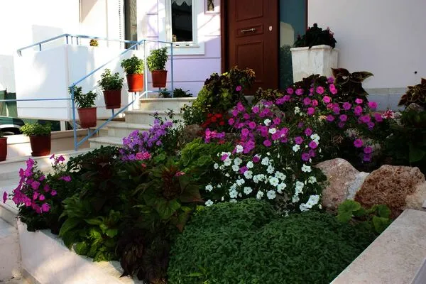 Grèce : Les Cyclades : Hôtel Veggie Garden Athens B&b