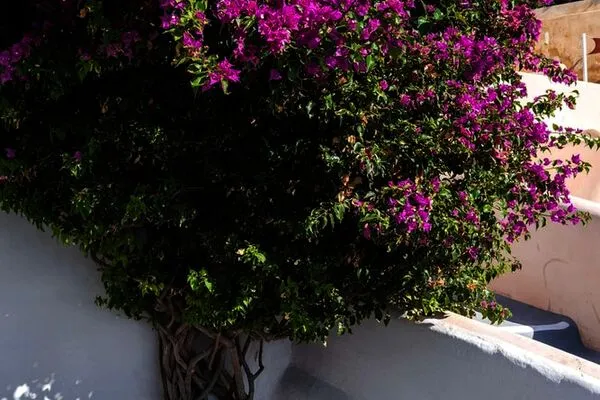 Grece : Hôtel Andronis Luxury Suites