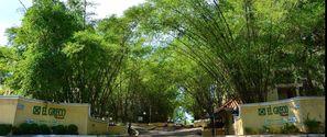 JAMAIQUE-Kingston, Hotel El Greco