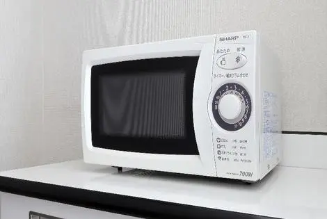 Japon : Hôtel Keio Presso Inn Tokyo Station Yaesu