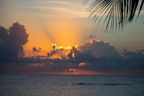 vol+hotel Sejour Southern Palms 4* Kenya Mombasa