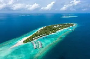 Maldives-Atoll de Male Sud, Hôtel Dhigali Maldives