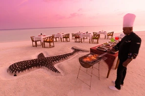 Maldives-Atoll de Male Sud, Hôtel Dhigufaru Island Resort