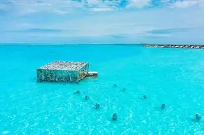 Maldives-Atoll de Male Sud, Hôtel Fairmont Maldives, Sirru Fen Fushi Lux